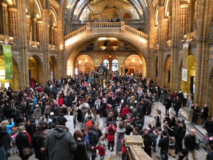  foule de visiteurs au museum d'histoire naturelle